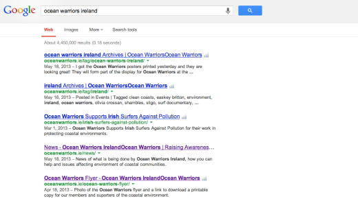 Ocean Warriors Ireland Search Results on Google